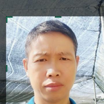 大货车价格
