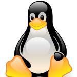Linux学习教程