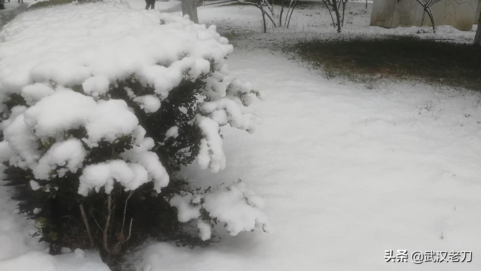 老刀：北京遇雪……