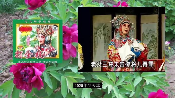 河北梆子打金枝银达子韩俊卿金宝环你细听儿提