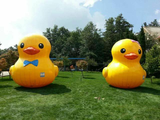 昆明野鸭湖今年春节玩“鸭”