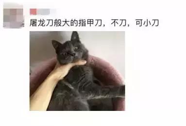 为了你买鞋时不被当“菜鸟”，我们整理了这份“鞋圈黑话大全”！