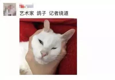 为了你买鞋时不被当“菜鸟”，我们整理了这份“鞋圈黑话大全”！