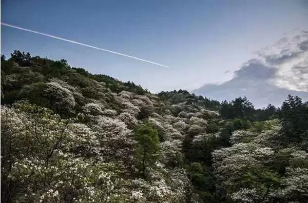 再过一个月，黄冈将成为全国最美的地方！