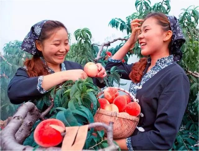 躁起来！我的家乡岱崮地貌美食啤酒节7月15日激
