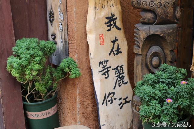 游记|一次说走就走的旅行