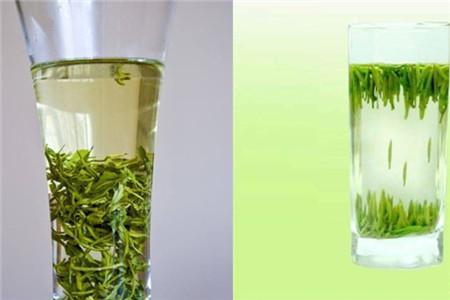 绿茶有哪些 带你认识4种常见的种类