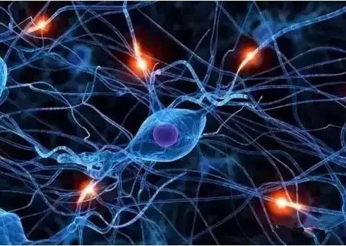 心理学家：教你管理好情绪的六个简单步骤