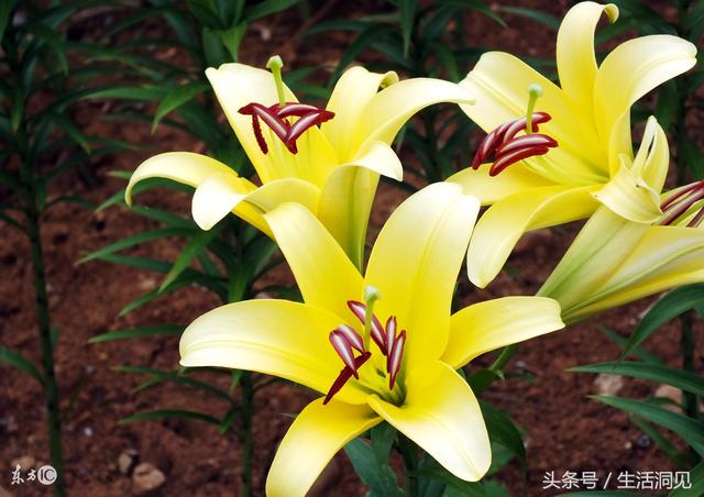 什么是真正的婚姻？请看一个40岁人的真实感悟