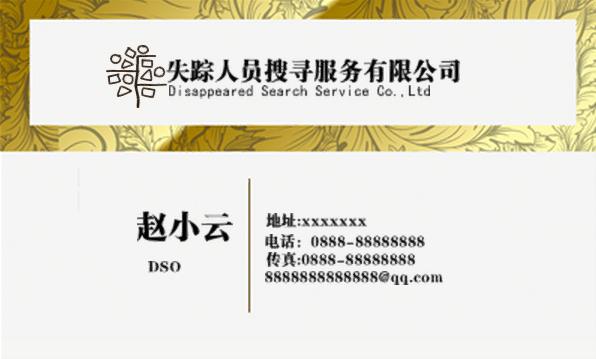 《小说故事》DSS Co.,Ltd DSO赵小云——之死