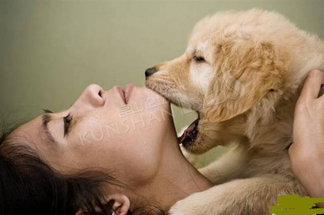 你还敢这样无尺度的跟狗狗亲密接触吗？狗狗舔一舔，可使血液中毒