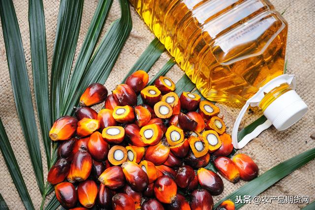 棕榈油会复制去年的高点吗？