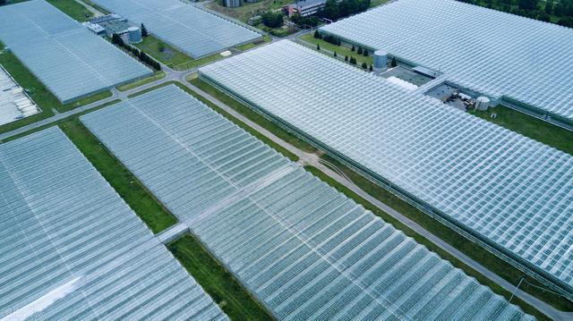 7月26日（星期天）上午，平凉这个地方快乐采摘、免费参赛