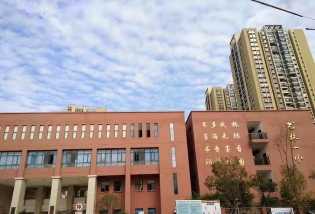 这个老昆明人，为何执着于让儿子重走他的求学路？