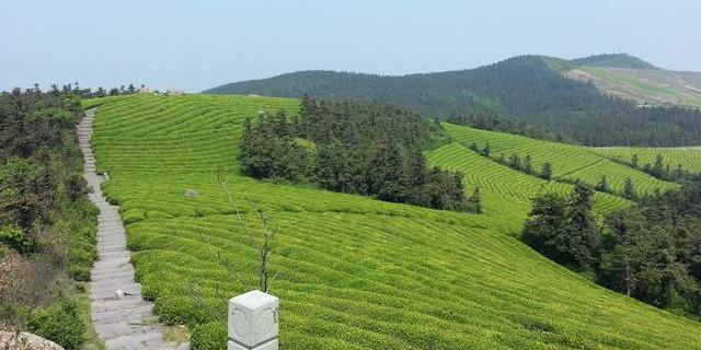 浙江五大绝佳露营目的地，趁着这个暑假，带孩子在星空下露营