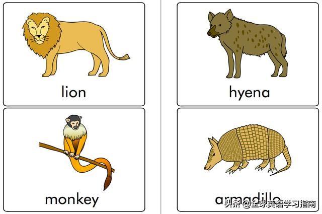 图片[14]-113张图让你记住所有动物类英语单词，分类汇总，建议收藏起来-笑傲英语网
