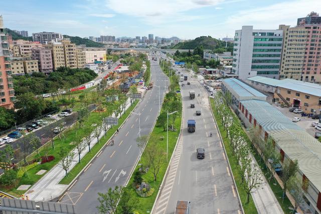 公常路主干道引绿入城，拥抱自然