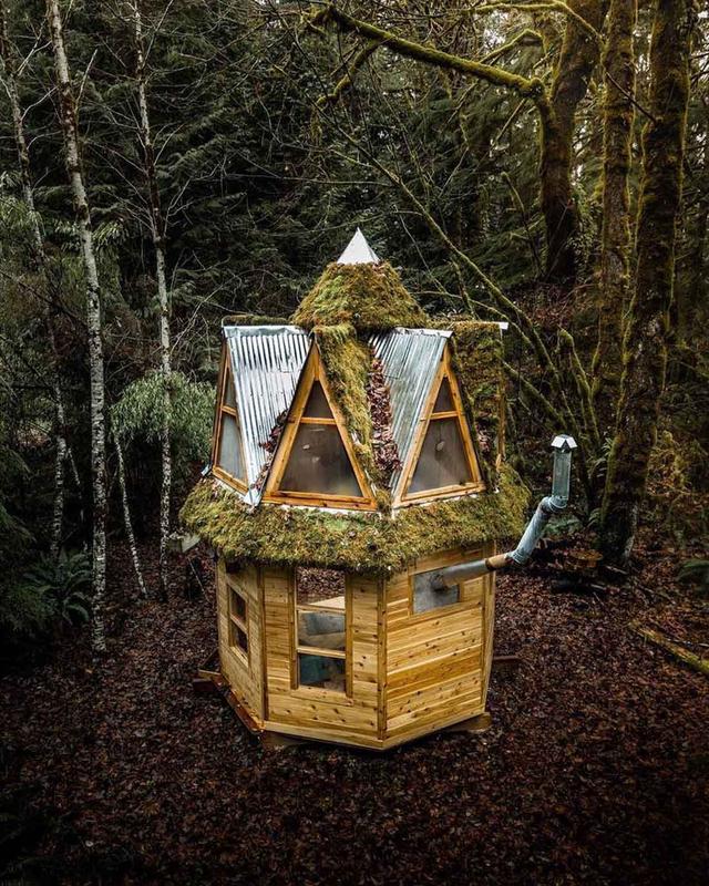 被青苔覆蓋的小木屋｜生態建筑