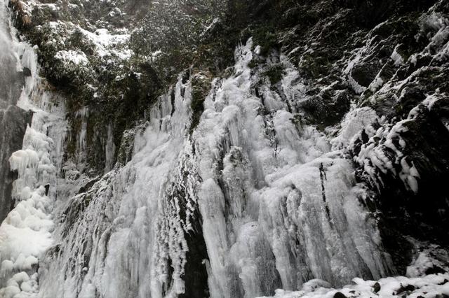 #粉色#阿尔卑斯山出现粉色冰川 专家解释令人胆颤黄山冰川该何去何从