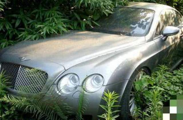 野外惊现豪车“坟厂”，奔驰路虎遍地都是，百万豪车说烧就烧