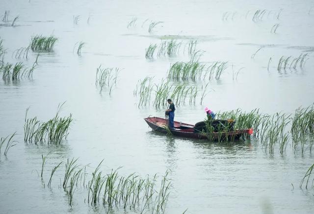 近日“告急”的鄱阳湖，对长江中下游的城市影响到底有多大？