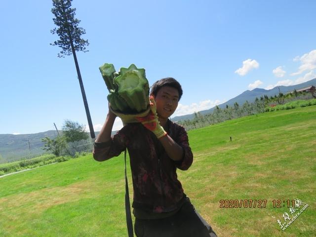 旅游旅行在丽江！人间值得