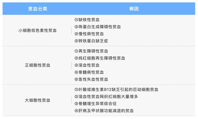 贫血=缺铁？！其实并不然
