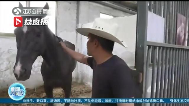 “汗血宝马”现身扬州网络司法拍卖