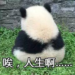 3任男友都是影帝，自己却不火，曾黎的人生被那套"男人装"毁了