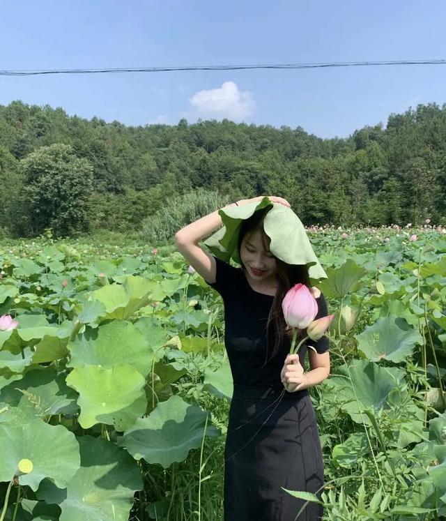 天池雅园夏日赏荷花 采莲蓬之旅