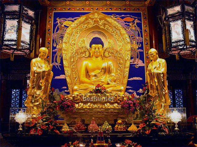 �������и�������Ĳ�����