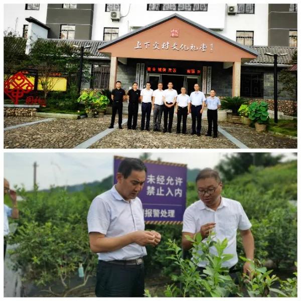 临沂市农业农村局赴浙江对接现代高效农业项目和农产品供应基地等工作