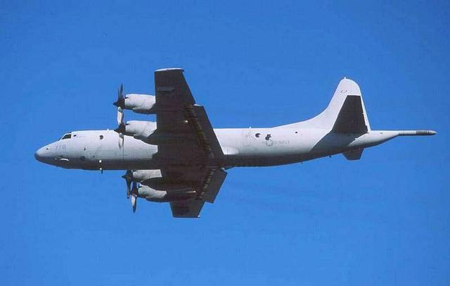 “台独”猖狂，想靠“十大打手”续命？台教授