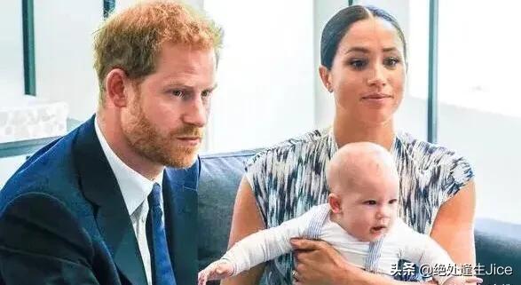 据透露，哈里和梅根的“复仇”之书，是个“巨