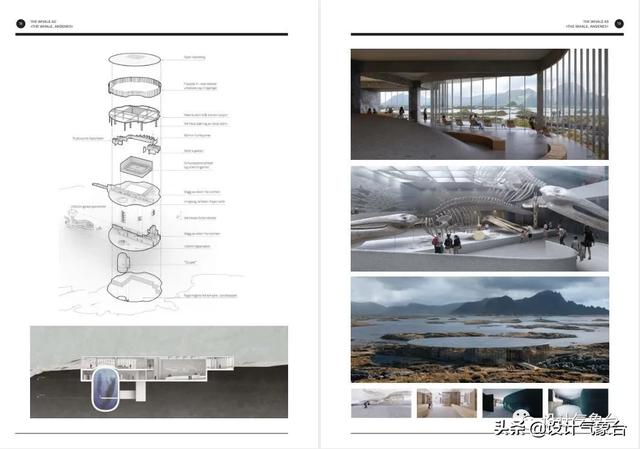 BIG惜败！再牛的方案也比不过一头鲸