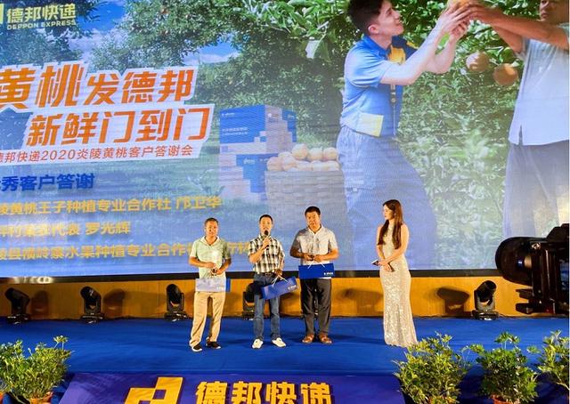 来自海拔1200米的“新鲜”：德邦快递定制运输方案让炎陵黄桃“桃醉天下”