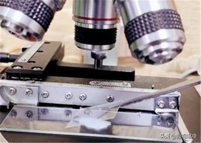 母乳放大1000倍，你会发现一个“新奇的世界”，