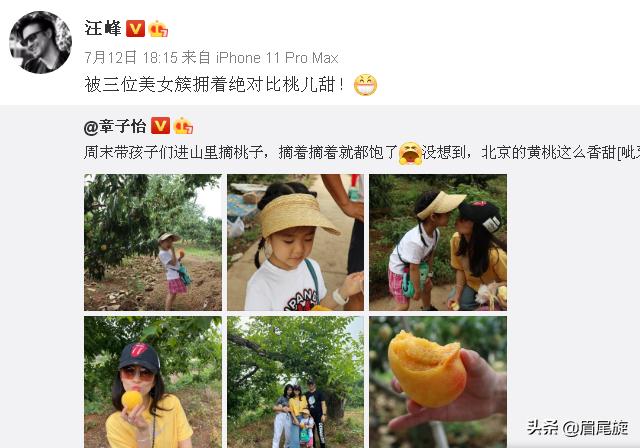 摩托车|汪峰骑三轮摩托车撞树章子怡担心尖叫感动 网友：以后别再喷人家了