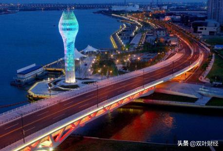 上海引入特斯拉：一场赌局，赌一个未来