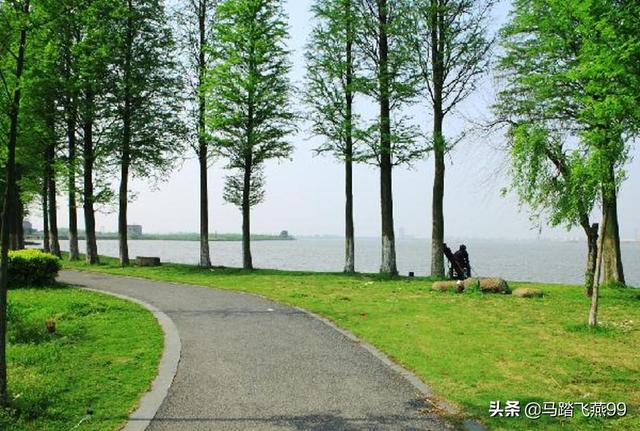 嘉兴市区的美景除了“南湖”，更有“湘家荡”