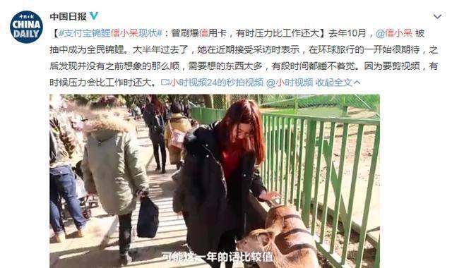 天下没有的免费午餐！一夜暴富的“锦鲤女孩”