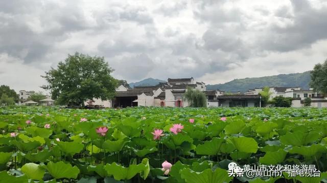名单出炉！我市这5个村入围