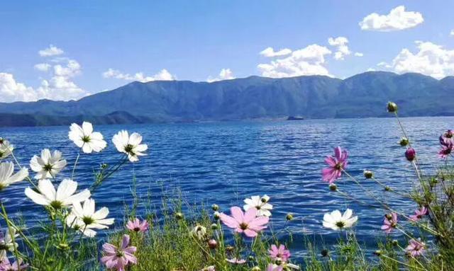 微信潜规则：这4种聊天方式最让人讨厌！