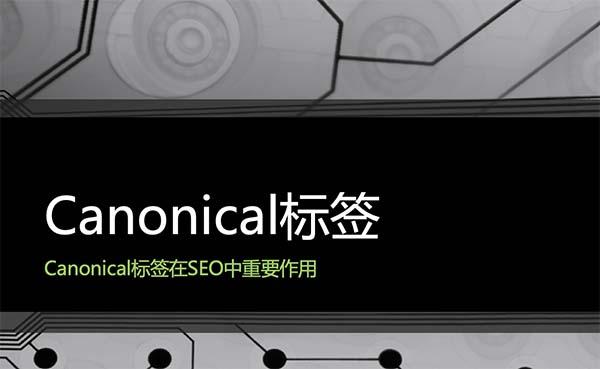 Canonical标签在SEO中重要作用