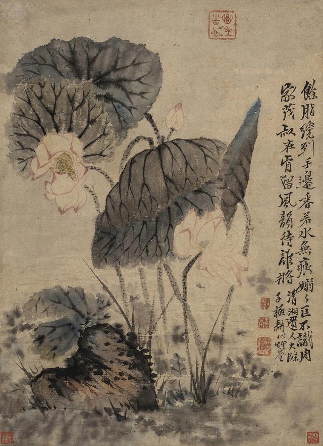 遇见一个前所未知的八大山人