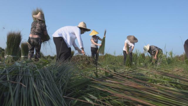 「决战决胜脱贫攻坚」临川：千名干部集体行动！只为一件事