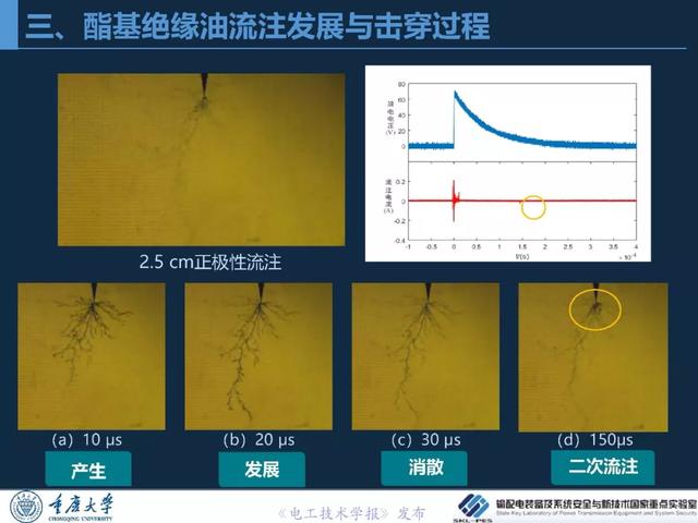 重慶大學(xué)王飛鵬研究員：高性能酯基絕緣油與變壓器應(yīng)用