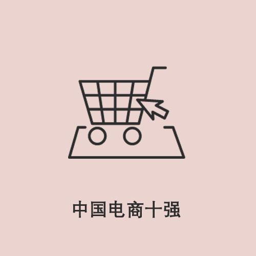 半分钟看完中国电商十强
