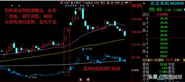 先手龙、日内龙、卡位龙，与空间龙的晋级逻辑