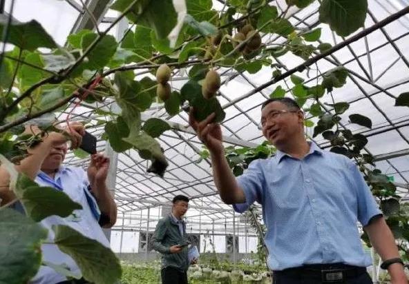 楊凌農(nóng)科，見證小康足跡——2020走出楊凌看示范活動圓滿收官